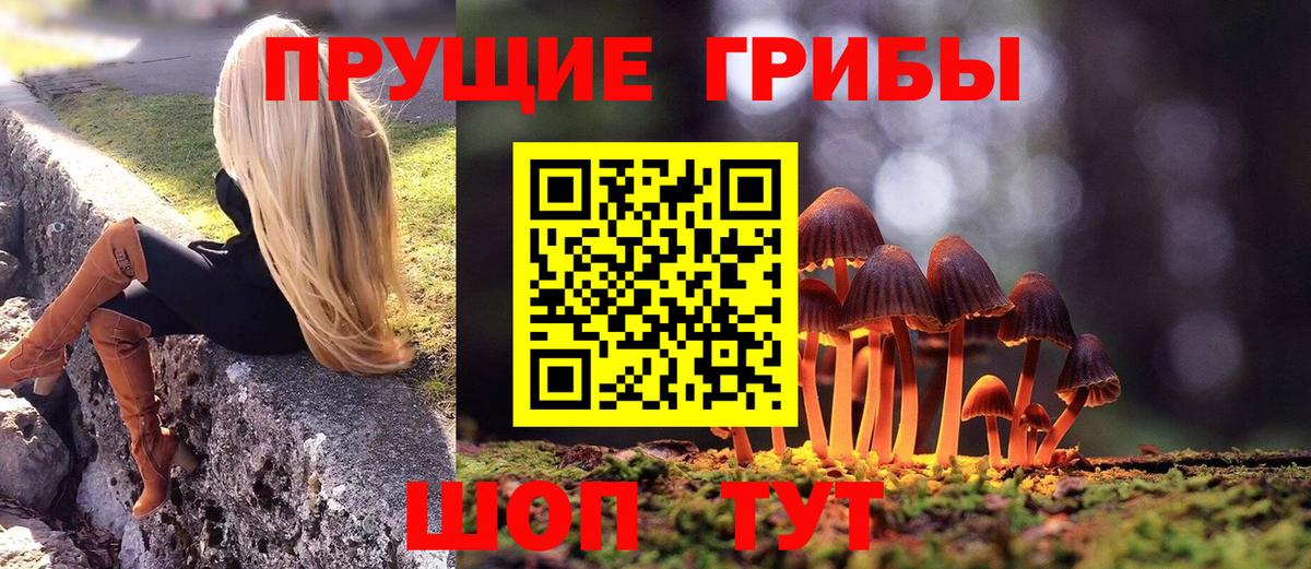 Галлюциногенные грибы MAGIC MUSHROOMS Кызыл